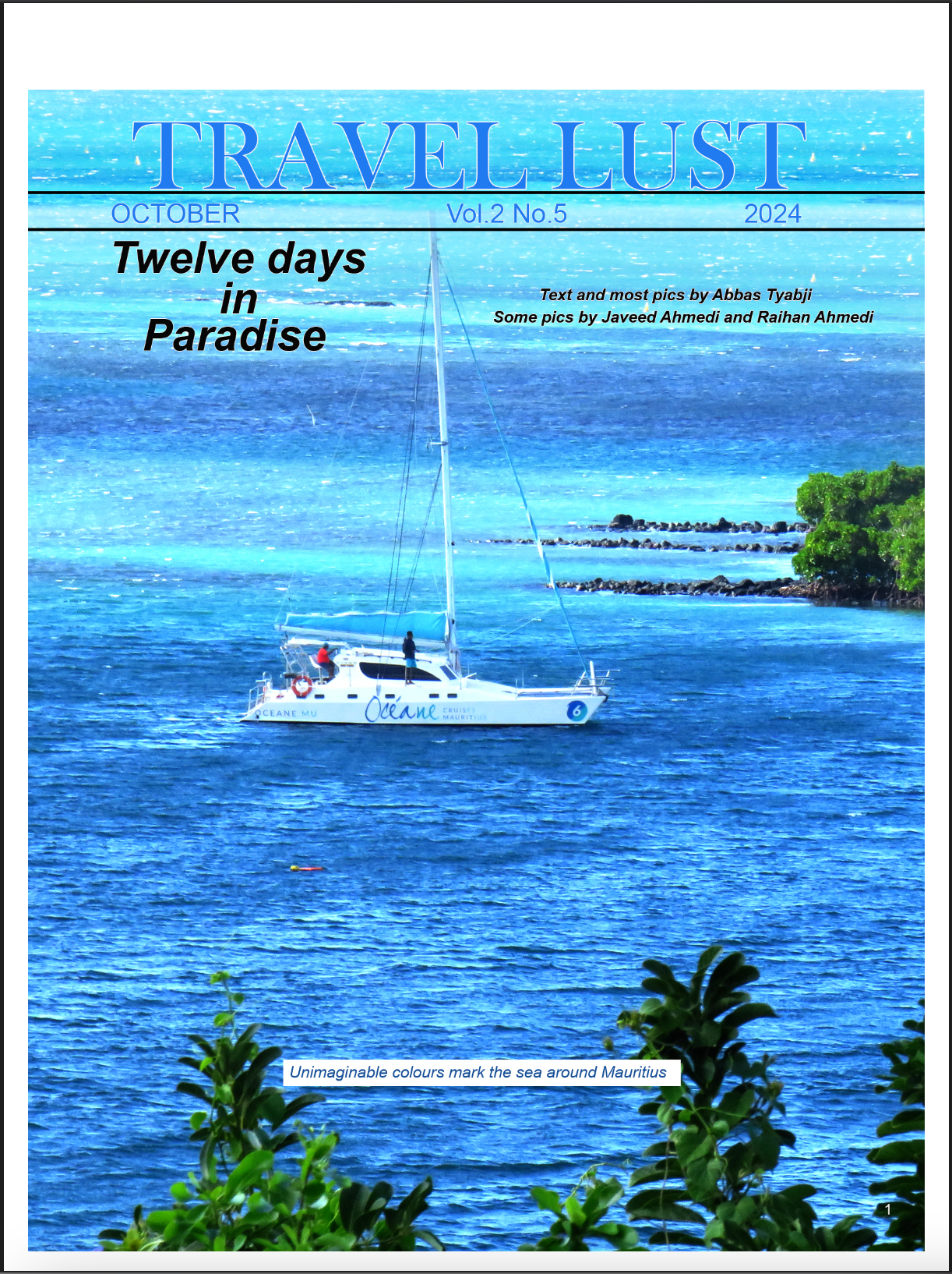 Cover for Vol. 2 - No. 5