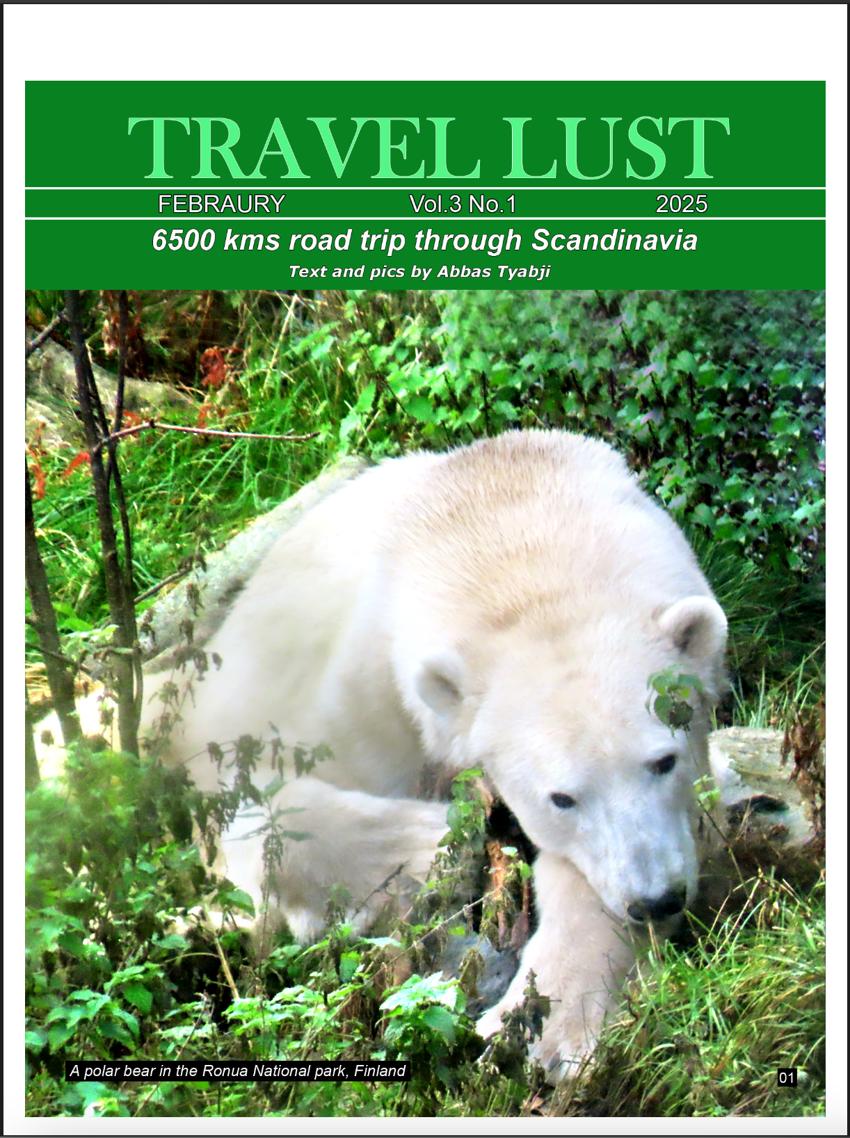 Cover for Vol. 3 - No. 1